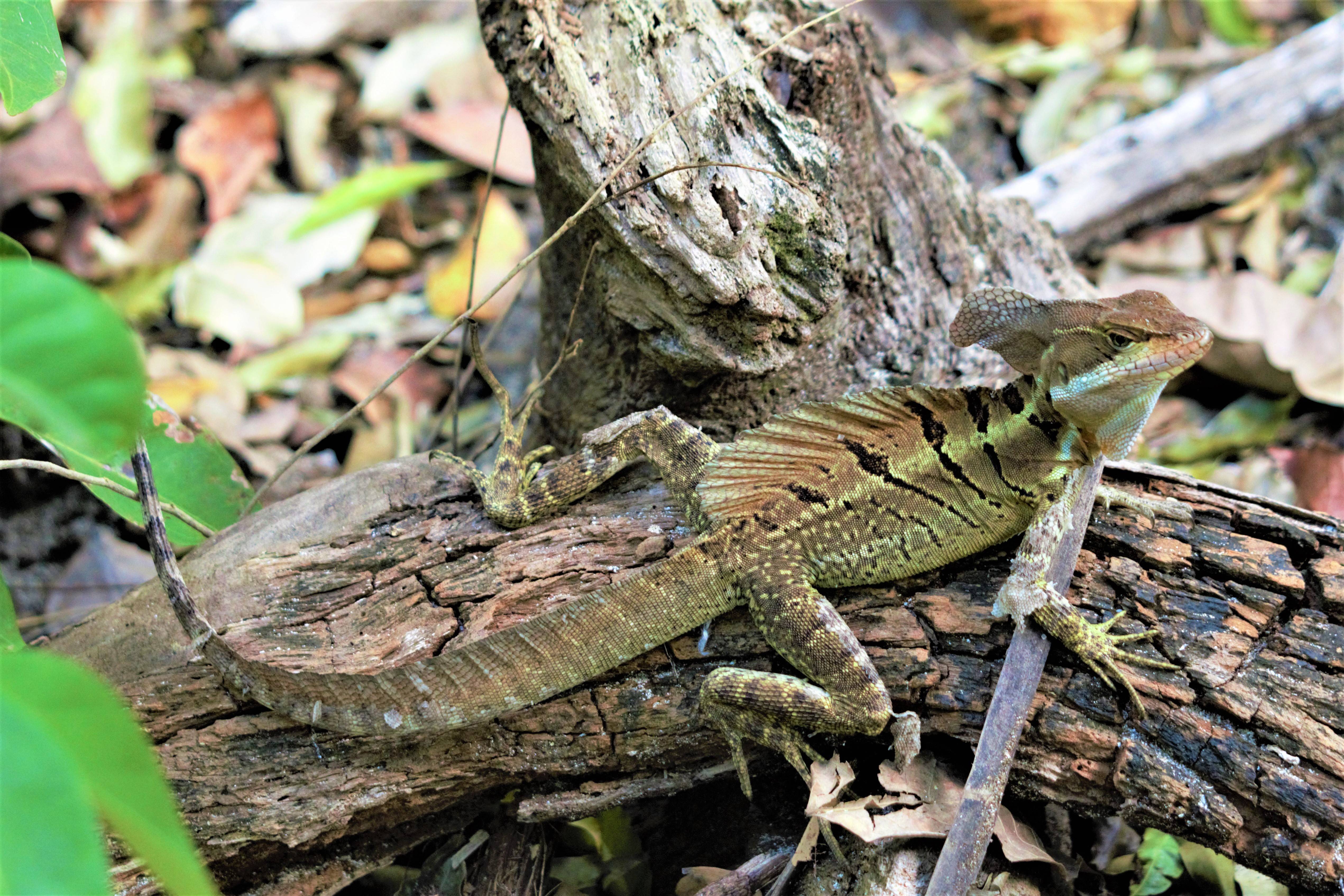 Costa Rica